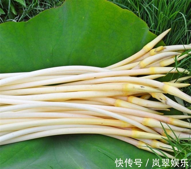 肠道|想长寿全靠吃,4种蔬菜要多吃,能补血养气,排毒润肤,滋补抗衰