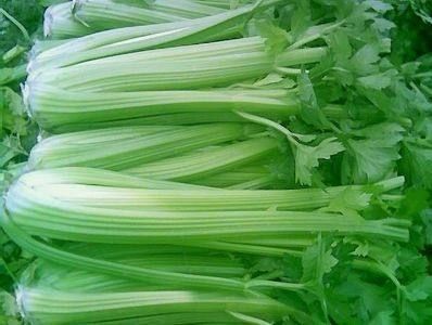 食物|记住这几种食物不会发胖,还能刮油清肠!