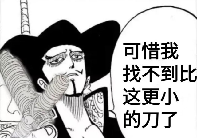 海贼王|海贼王:网友p得一手好图,十字架索隆被玩坏