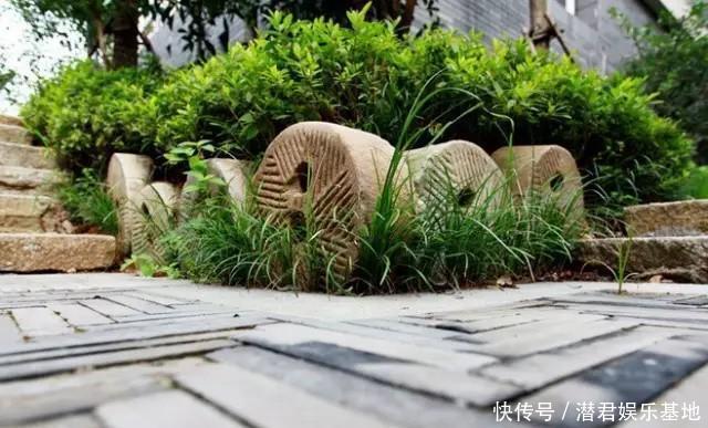 绣球花|乡村庭院设计,如果农村有房,干嘛住城里,建个这样的院子美翻了