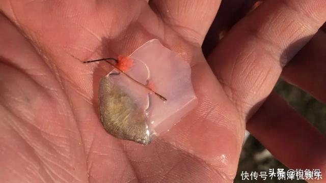 钓鱼时总是挂到鱼鳞?只需简单调整,就能轻松把鱼钓上岸