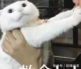 这个只要3块钱的好物，我要一辈子回购！好用哭！