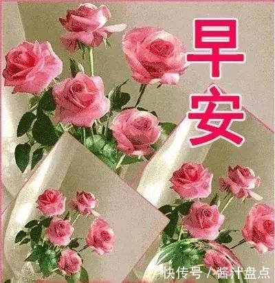 早安|人之相交,交于情;人之相信,信于诚