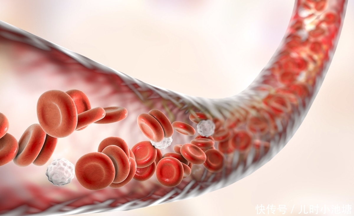  紫菜|血管最怕堵，让你花2块钱不到，只需一碗汤，给血管“洗个澡”！