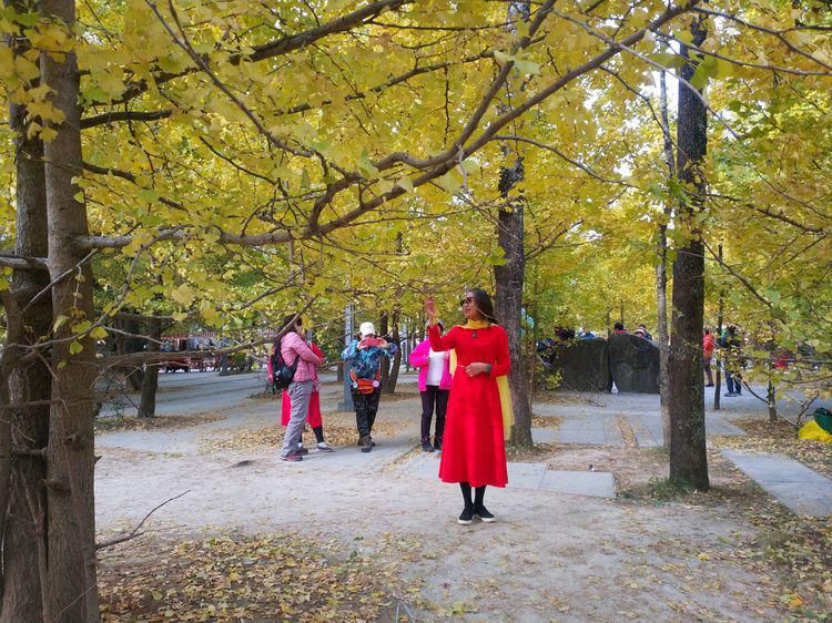 江东村|高黎贡山行之四：随走腾冲银杏村，惊艳，惬意