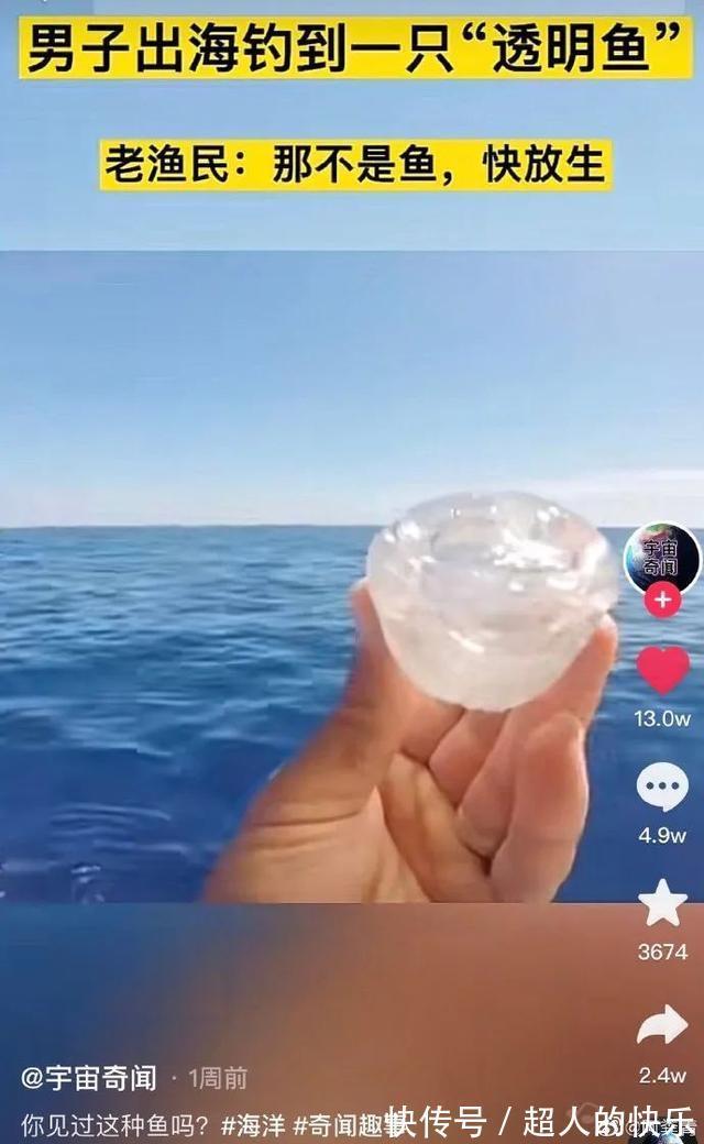 |拍迪士尼烟花翻车现场 冷段子2008