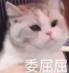 词条|幸运来了千万不要嘚瑟，不然洗出七绝不修也不会让人快乐…