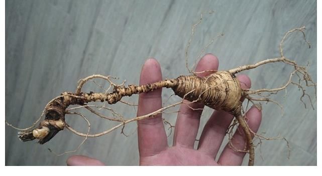 雄激素|男人提升“雄激素”的3种食物，每天泡水喝，肾如小蛮牛！