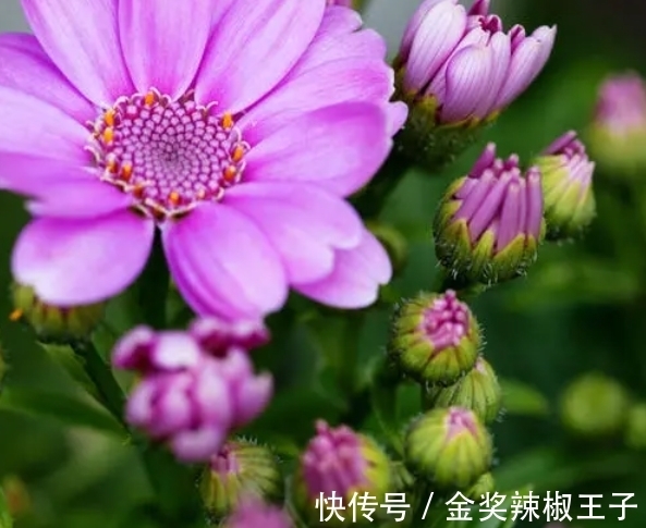 懦弱|近期,4个星座,柔软却不卑微,善良却不懦弱,活得开心舒心顺心