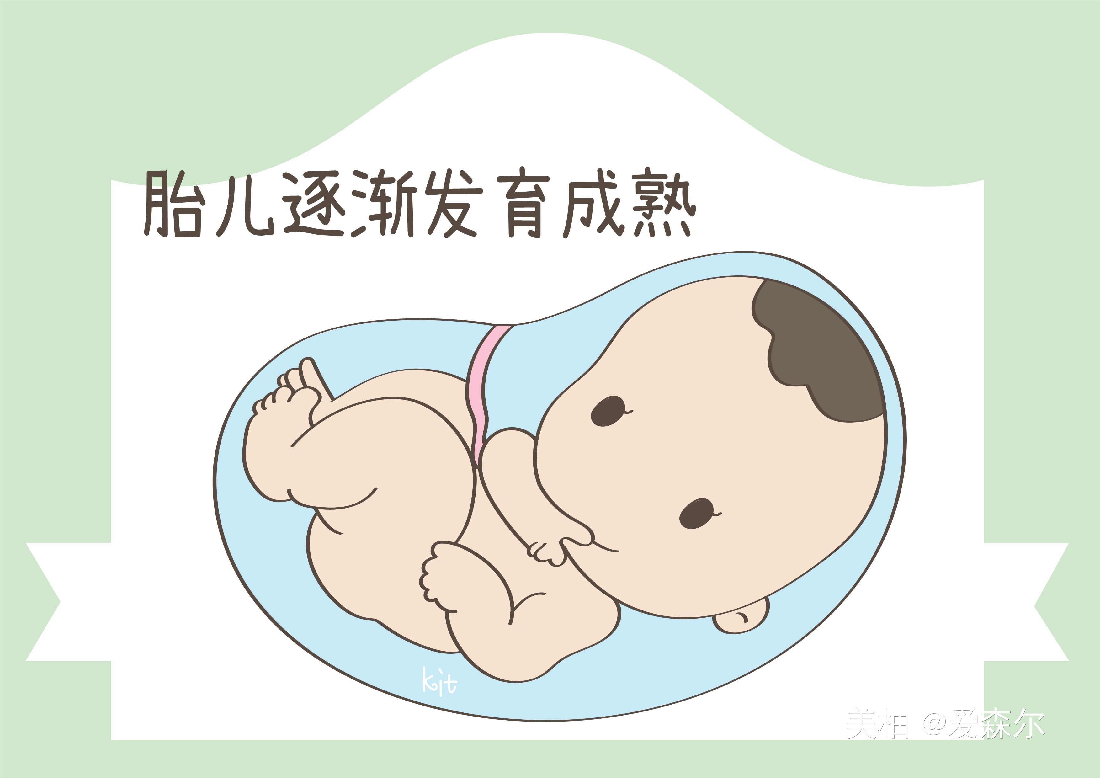 有午睡习惯的孕妈,宝宝智商更高,别不当回事