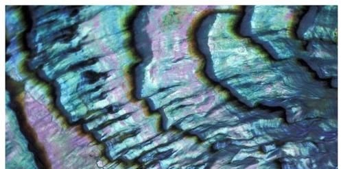 头晕头痛|一味不被人熟知的中药,常被人抛弃,这药有助清肝明目,宁心安神