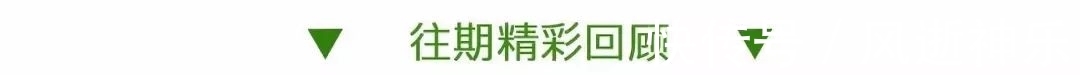 陈虹|明星不结婚,华为不入股