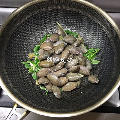 九层塔叶炒花蛤