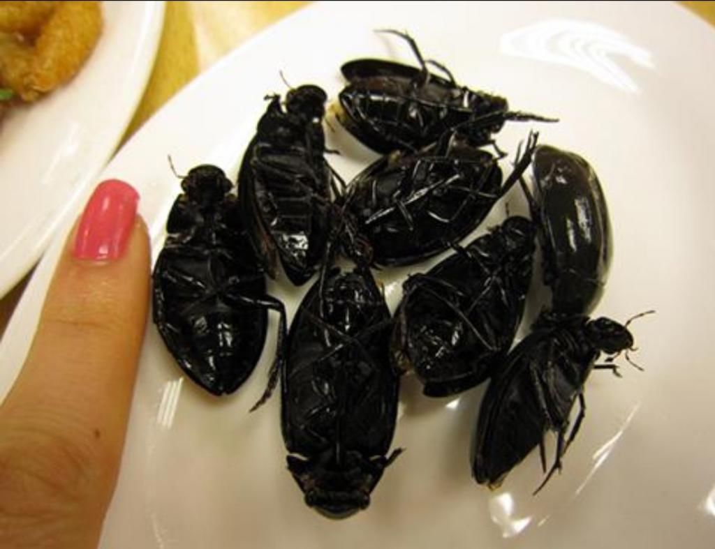 每看一个的时候,都想问自己:我会吃吗?这些巧克力太不可思议了