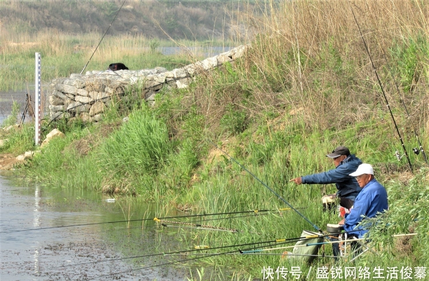 馒头|用馒头也可钓鱼？什么情况下用红虫、蚯蚓、玉米作钓，效果更好？