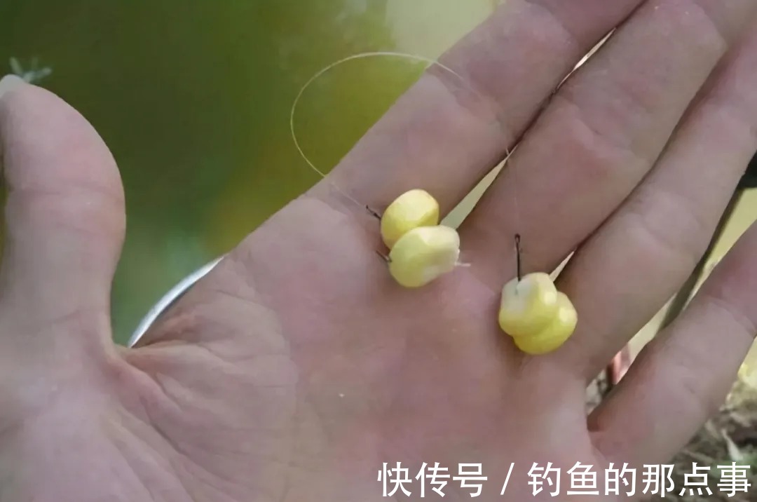 同样的饵料,别人爆护自己空军,真的是商品饵没有效果么