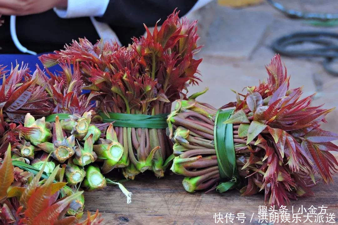 茴香|养肝第一水、补阳第一菜,初夏要牢记,隔三岔五吃,肝好阳气足!