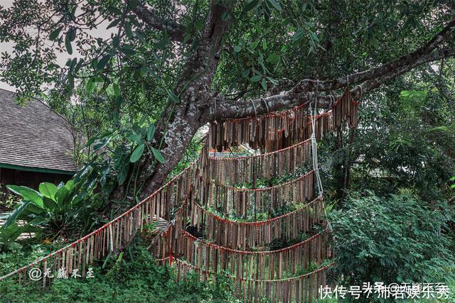 祖先是亲兄妹，自称舅舅的后代，中国热带雨林最神秘的民族