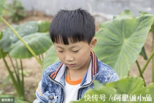 宝妈|3岁暖男哥哥哄妹妹睡觉,小胳膊有爱有担当,宝妈被这一幕感动