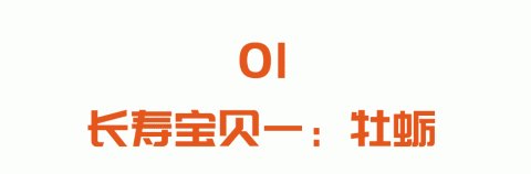 养好脾胃人长寿!名中医的两款养生药膳,常吃养胃安神、降压止痛!