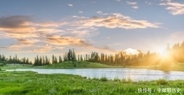 寺院|韦应物闲居赋诗,一首绝句充满闲情逸致,更是百读不厌