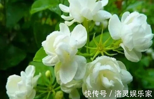 南瓜|女性想要皮肤好 ，推荐4种食物，排出毒素，补血益气，延缓衰老