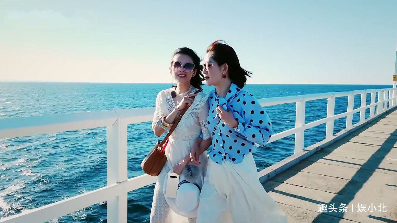 《妻子2》节目组好严格,当司机要通过面试,连服装都严格要求