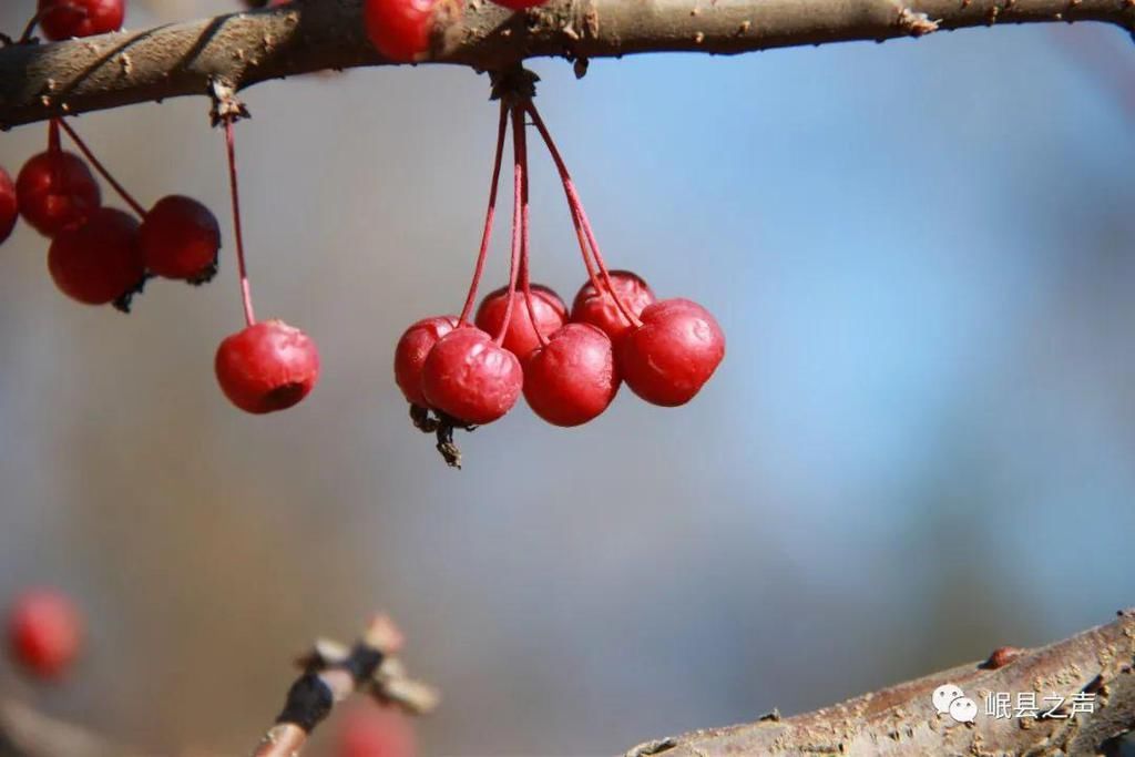 岷县的春夏秋冬，看不够！