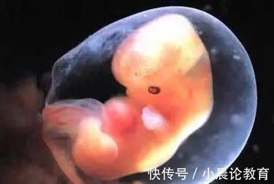 致畸因素|发育中的胎儿最怕这九大致畸因素,孕妈需远离!