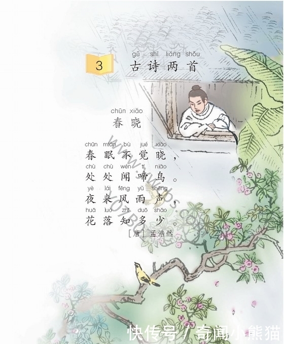 语文科目|九年义务教育大变革，看重点