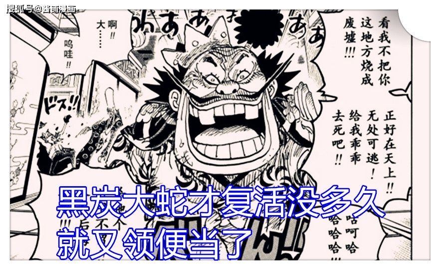 海贼王1009话，九侠又开挂并让大蛇领便当，狸猫果实能力者上线玩耍