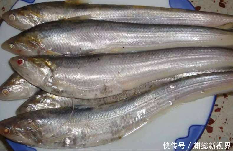 中国|中国的四种高级食材,你都吃过么