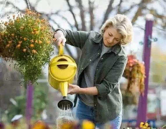 花店老板不小心说漏嘴，浇水加一点“它”，叶子油绿，轻松开花！