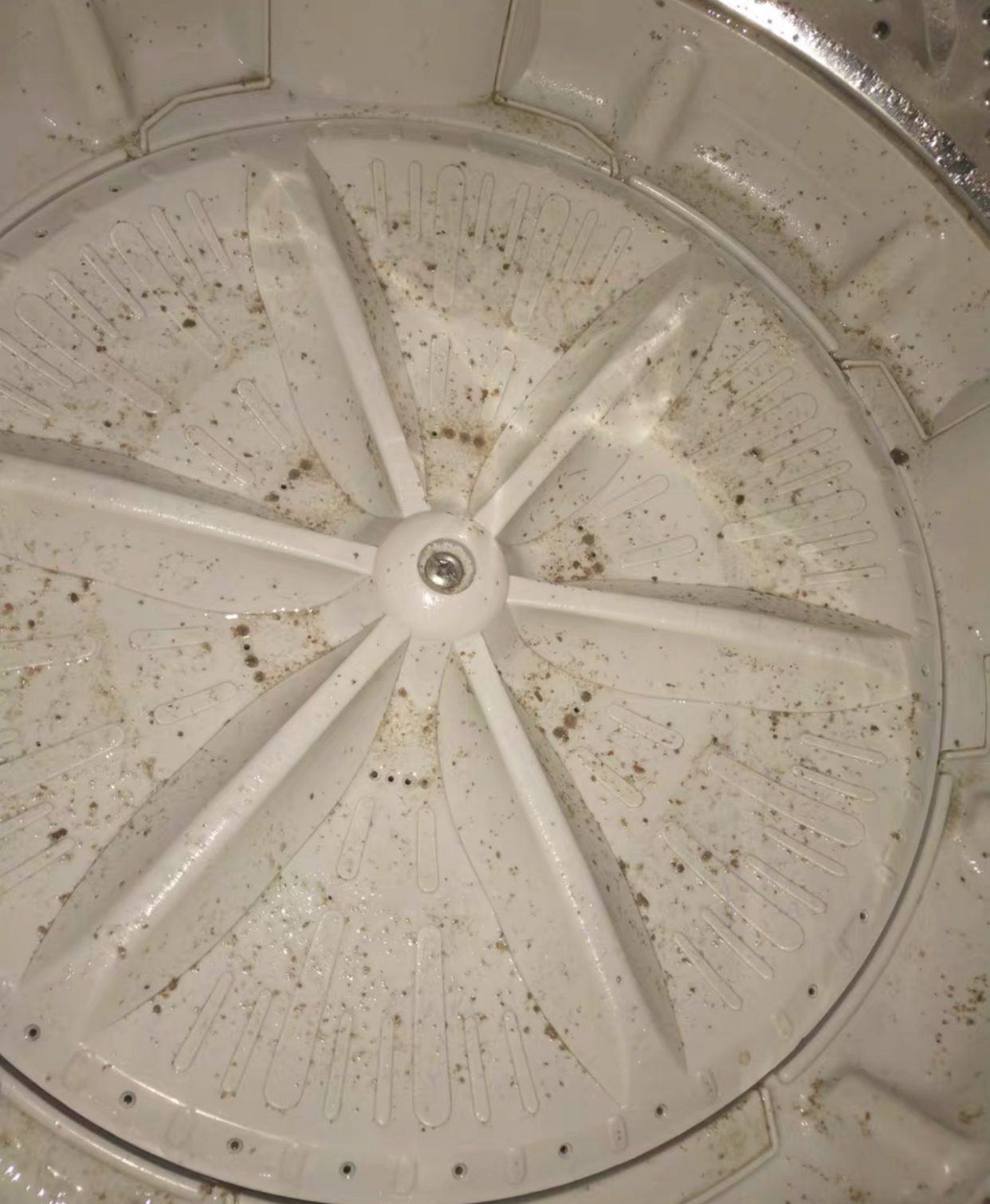 马桶|尽管我信奉“断舍离”，但在这些家用品面前，还是选择囤货！