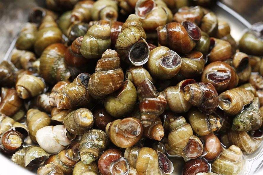 增强体质|人到中年想长寿，多吃三种食物，排毒养颜、增强体质，气色也好！