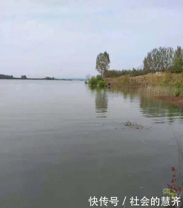 钓位|本味三兄弟,助我擒板鲫!