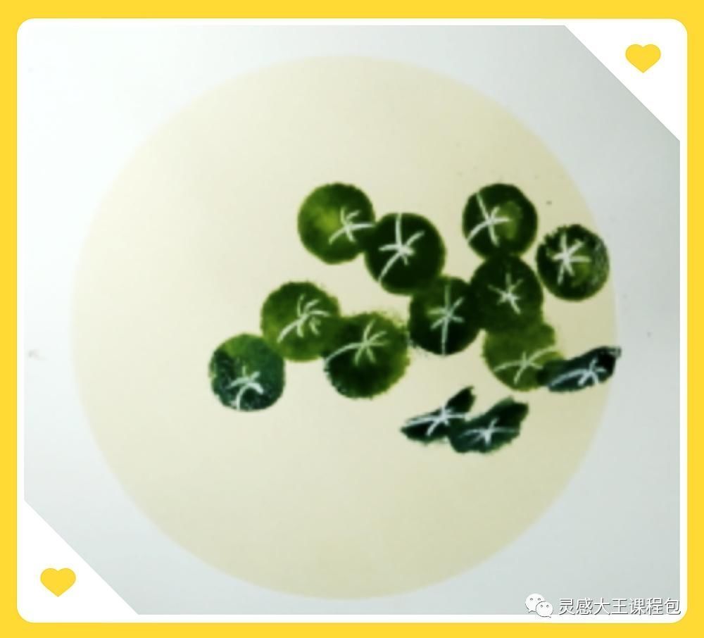 孩子们笔下的铜钱草,妙不可言的精致美