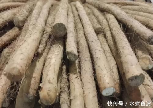 根须|买山药，挑粗的还是细的？学会这3招，优质山药轻松拿下！