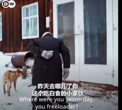 零下40度，80岁奶奶在贝加尔湖上独自生活！网友：这才是艾莎公主吧