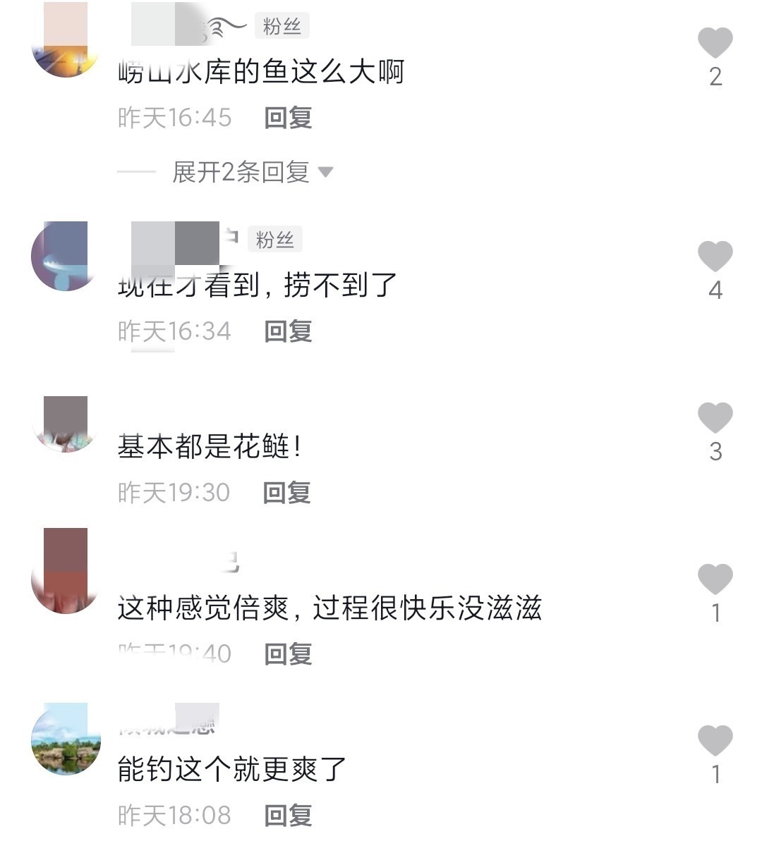 崂山水库开闸放水!一米长的大花鲢随处可见