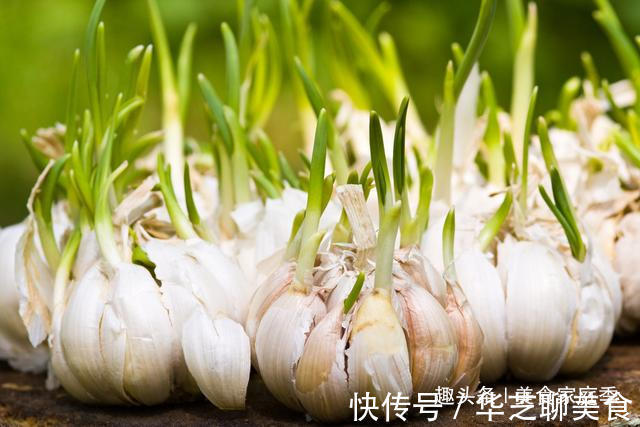 大蒜|今天才知道,保存大蒜这么简单,一年不发芽,还能做出如此美味