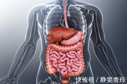 内脏|腹痛绝不只是肚子痛这么简单，这样判断病位，危机时刻能救命！