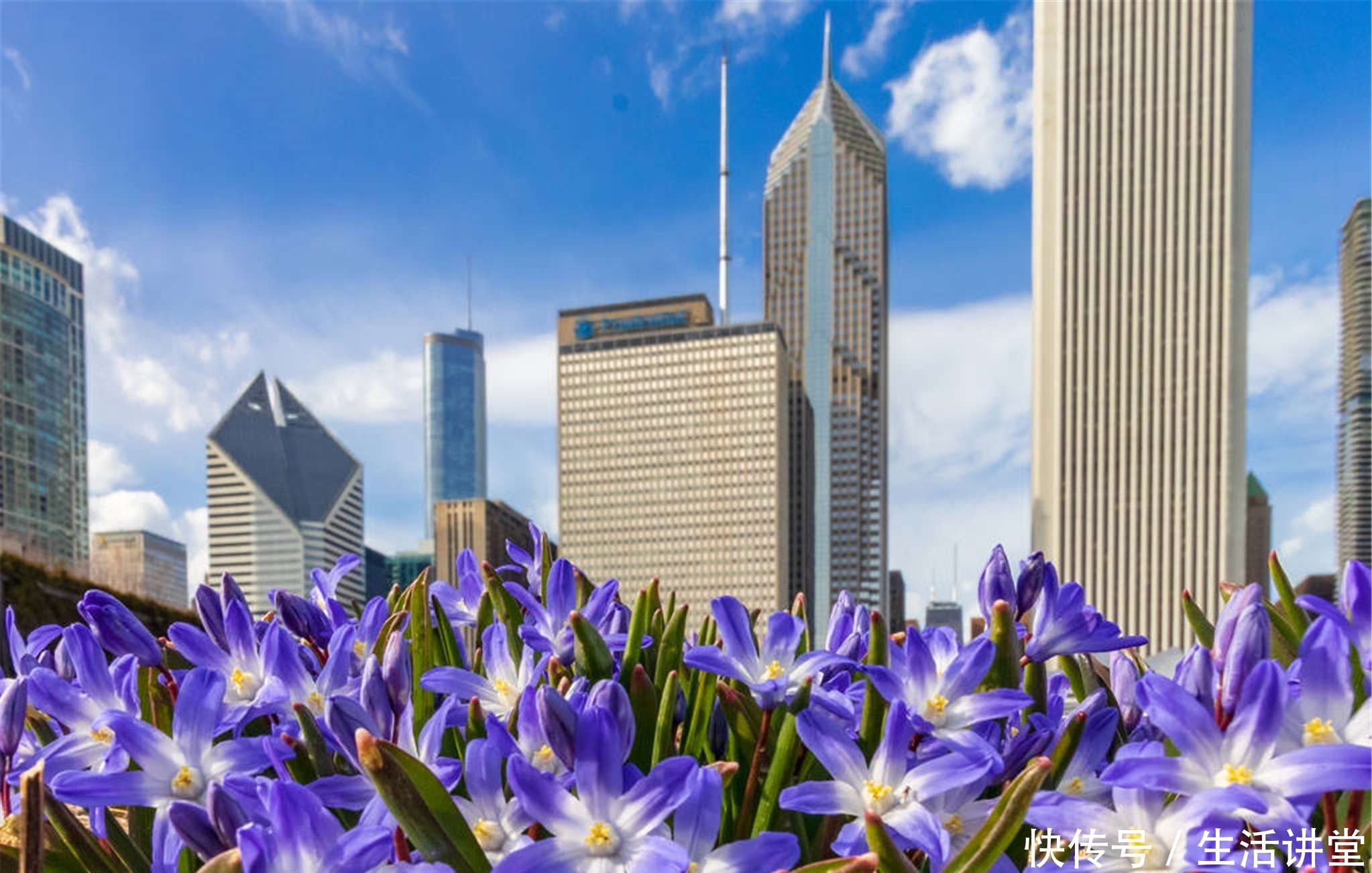 曼哈顿|这城号称曼哈顿第二,美女云集,遍地黄金,上演过黑帮传奇