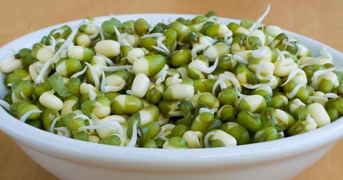 豌豆苗|吃了不后悔的食物，推荐给你，美容养颜，减肥瘦身，气色更红润