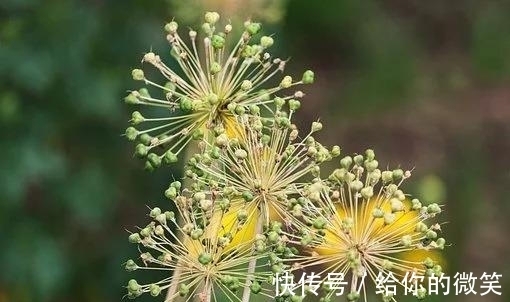 多福|七天后,踏实上进,纠缠无果,情梦不断,越过越顺,多金多福