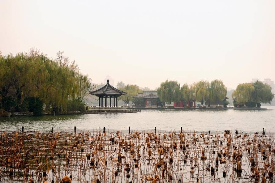 美的景|美丽的遇见我拍冬日大明湖