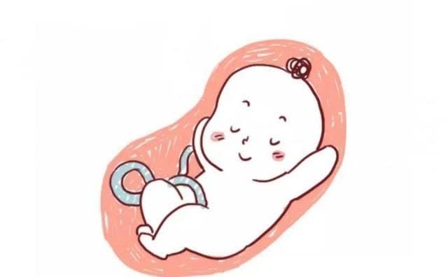 周至|胎儿好不好,胎动全知道…为什么有的胎动很明显,有的却没感觉?