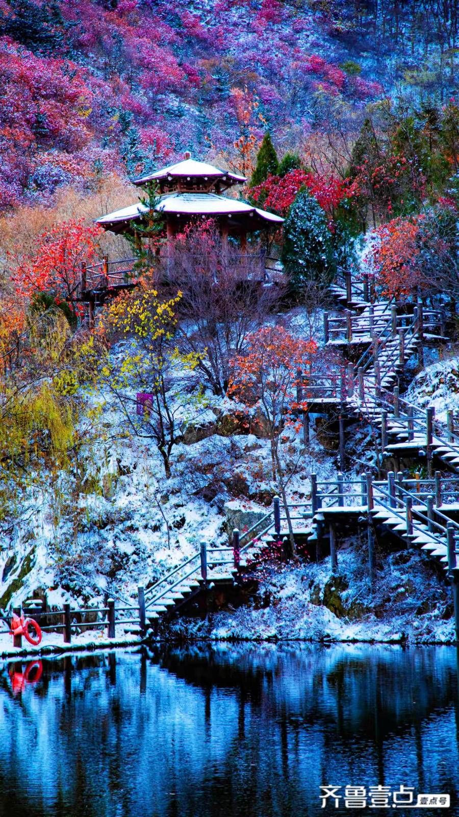 老舍|雪是大浪漫，最妙的是下点小雪呀