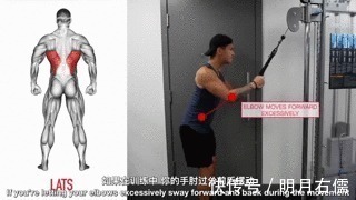 肱三头肌|手臂太细怎么练掌握这3点,“肱三头轰炸”练出麒麟臂