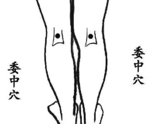 预防|人过四十,常按三穴,多吃四物,可预防老年痴呆